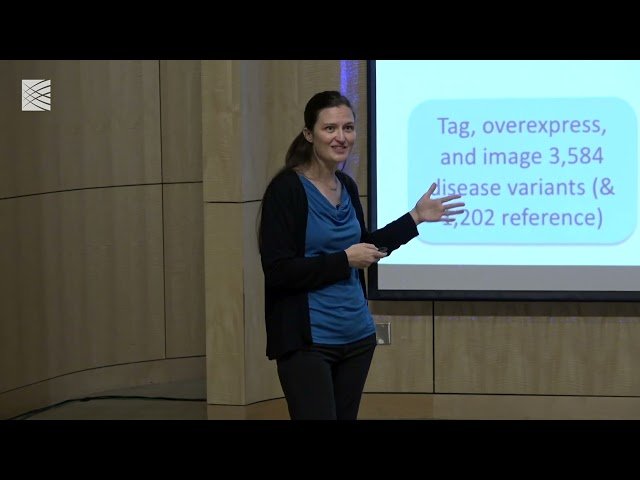 Finding Disease Phenotypes and Candidate Therapeutics Using Images: Cell Painting