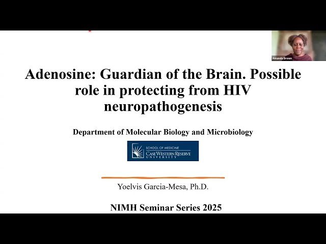 Adenosine, Guardian of the Brain - Possible Role in Protecting from HIV Neuropathogenesis