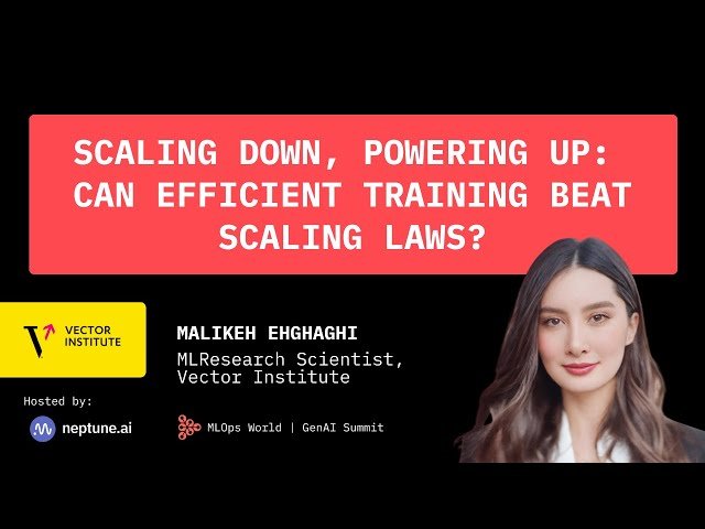 Scaling Down, Powering Up: Can Efficient Training Beat Scaling Laws?