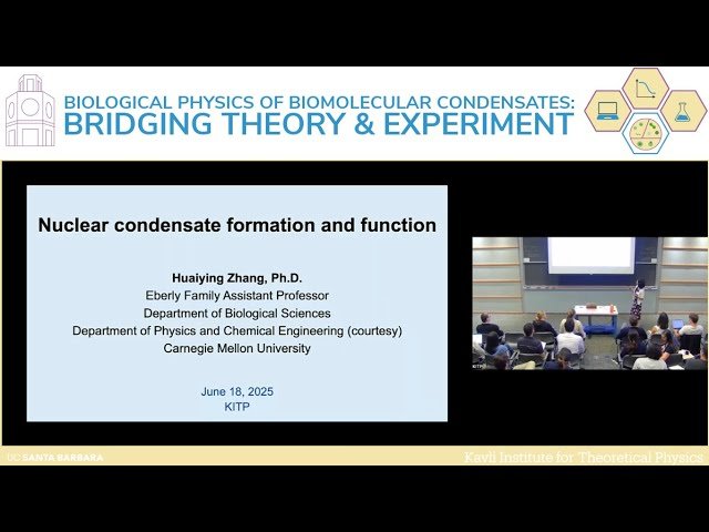 Nuclear Condensate Formation and Function