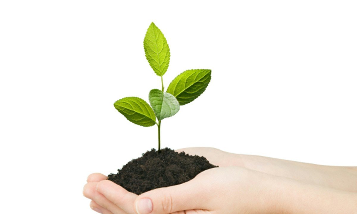 Grow to Greatness: Smart Growth for Private Businesses, Part I