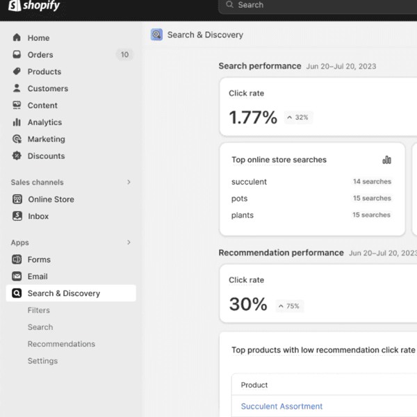 Shopify eCommerce: Social Media Ads for Sales Success