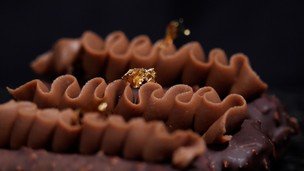 Chocolate Masterclass: Chocolate Course by Master Chef