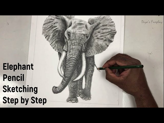How to Draw an Elephant - Step by Step Drawing Tutorial