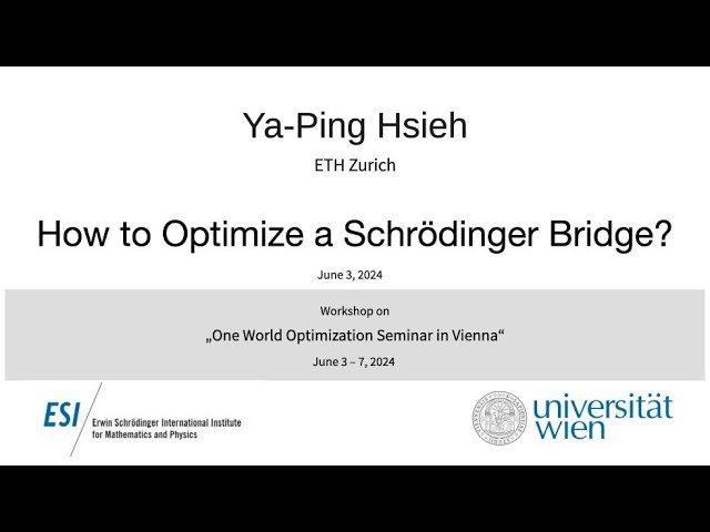 How to Optimize a Schrödinger Bridge