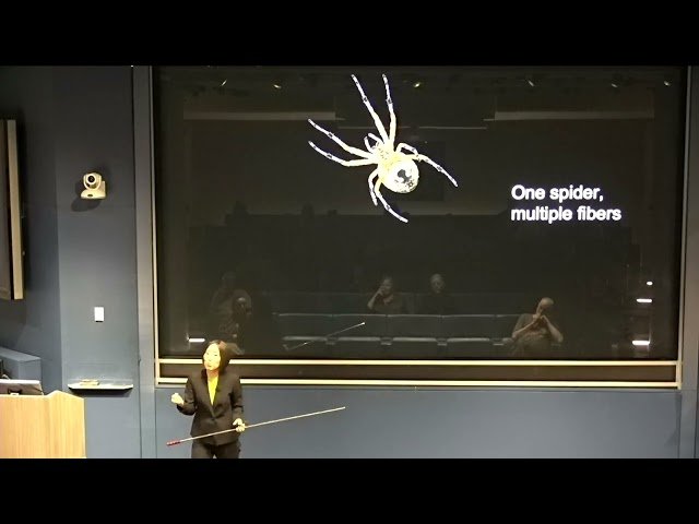 Dynamic Evolution of the Spider Silk Gene Family (May 7, 2025)