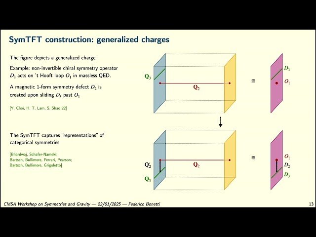 Aspects of Categorical Symmetries for Branes