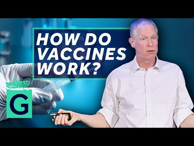 How Do Vaccines Work?