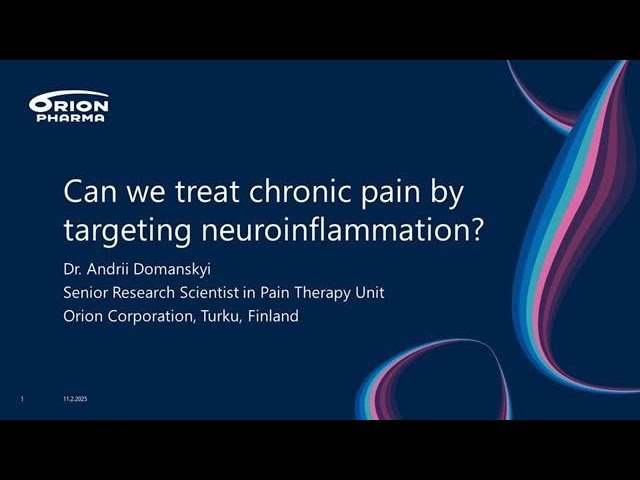 Can We Treat Chronic Pain by Targeting Neuroinflammation?