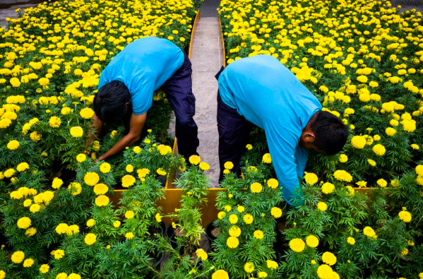 Destination Street: Perspectives on the World of Street Photography (Live Online)