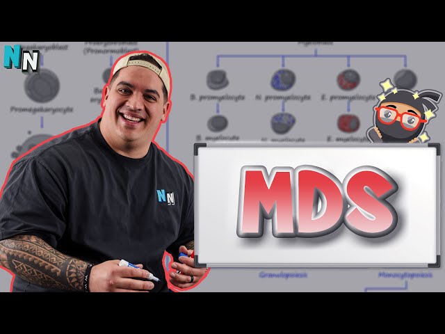 Myelodysplastic Syndrome - Clinical Medicine