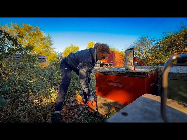 One Fall Treatment That Can Save Your Bees This Winter - Oxalic Acid Vapor for Varroa Mite Control