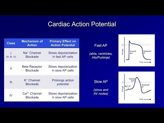 Antiarrhythmic Medications - Complete Course