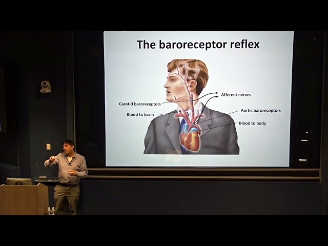 The Vagus Nerve - How the Brain Listens to the Body