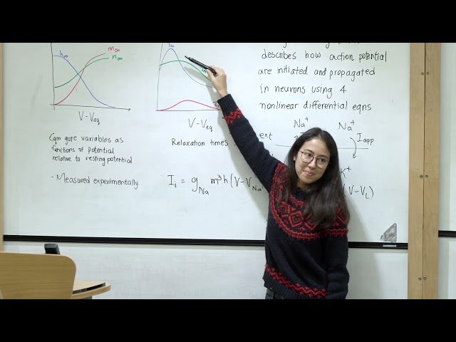 Mathematical Physiology - The Hodgkin-Huxley Model and the FitzHugh-Nagumo Model - Lecture 5
