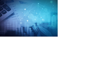 Institutional Sector Accounts