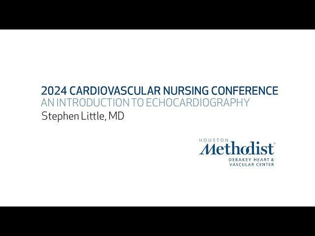 Basic Principles of Echocardiography - Normal and Abnormal Cardiac Function