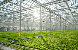 Ventilation and Climate Control