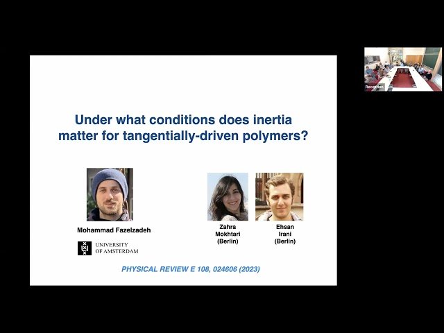 Active Polymers in Complex Environments