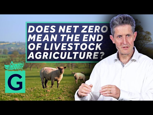 Does Net Zero Mean the End of Livestock Agriculture?
