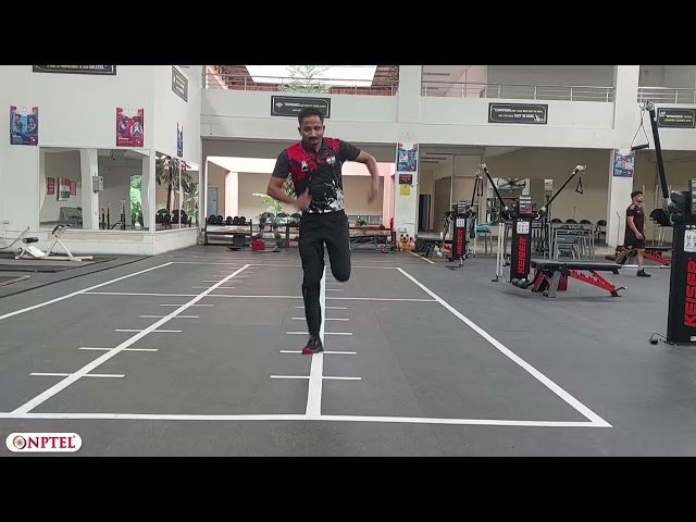 Functional Testing for Return-to-Play Decision-Making