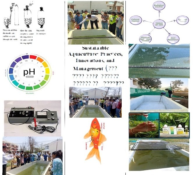 Sustainable Aquaculture: Practices, Innovations, and Management