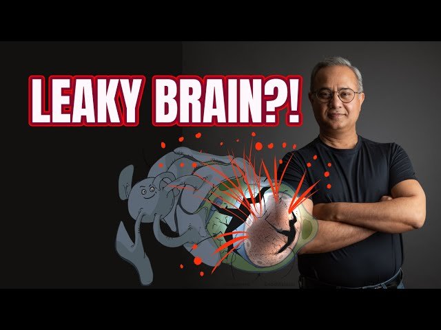 Leaky Blood-Brain Barrier - Tiny Breaches Leading to Brain Fog and Dementia
