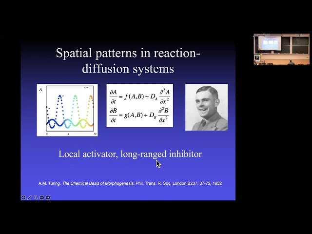 Mathematical Biology of Cells: Structure, Movement, and Collective Behaviour