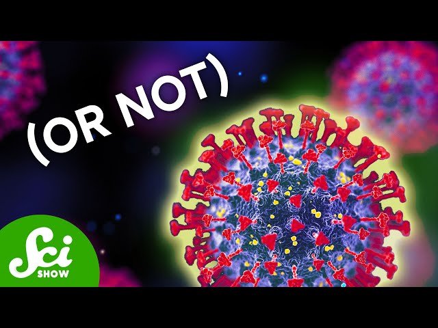 Everything You Didn't Want to Know About Viruses - Compilation