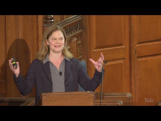 A New Deal for America - Class 20