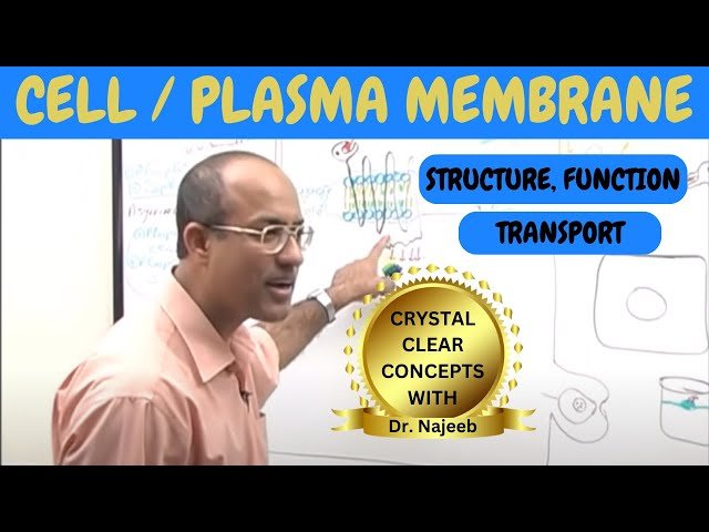 Membrane Physiology - Neurotransmitters - Neurology