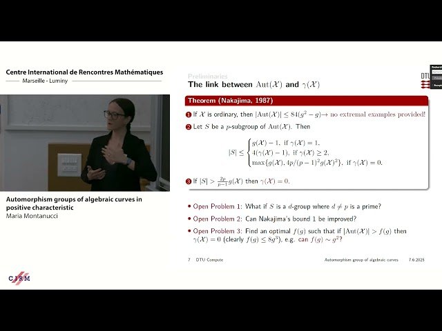 Automorphism Groups of Algebraic Curves in Positive Characteristic