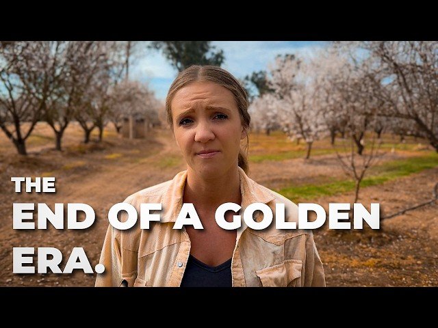 Is There Still Money in Bees - The Industry's Big Turning Point