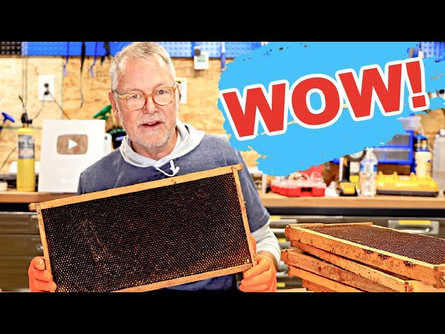 Beekeeping - The Surprising Aftermath of Combining Hives