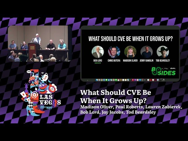 What Should CVE Be When It Grows Up