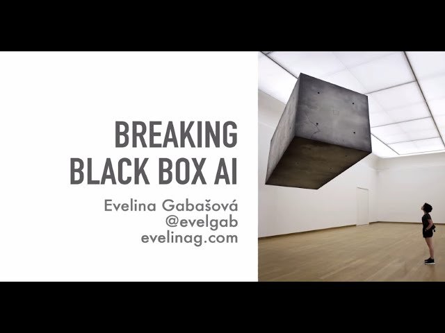 Breaking Black-Box AI