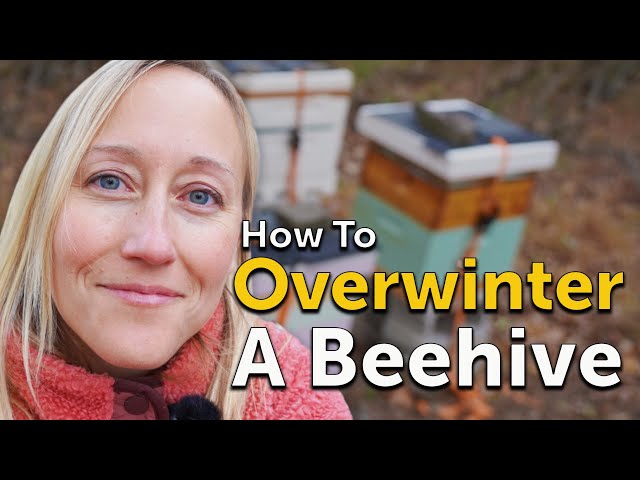 Beekeeping 101 - How to Overwinter a Beehive in Pennsylvania
