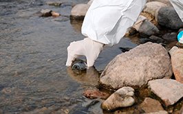 Fundamentals of Ecosystem Health and assessment