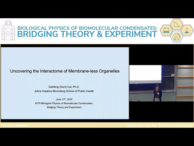 Uncovering the Interactome of Membrane-less Organelles