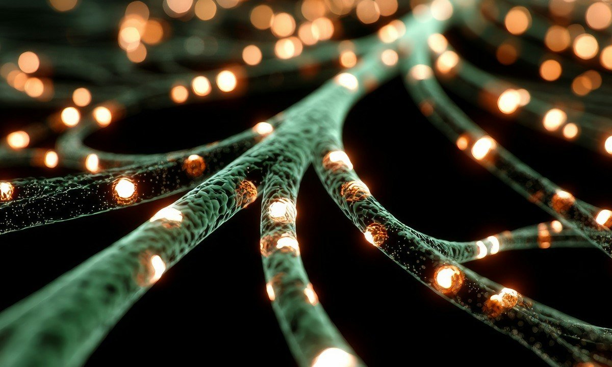 Decision-Making in Dynamic Environments