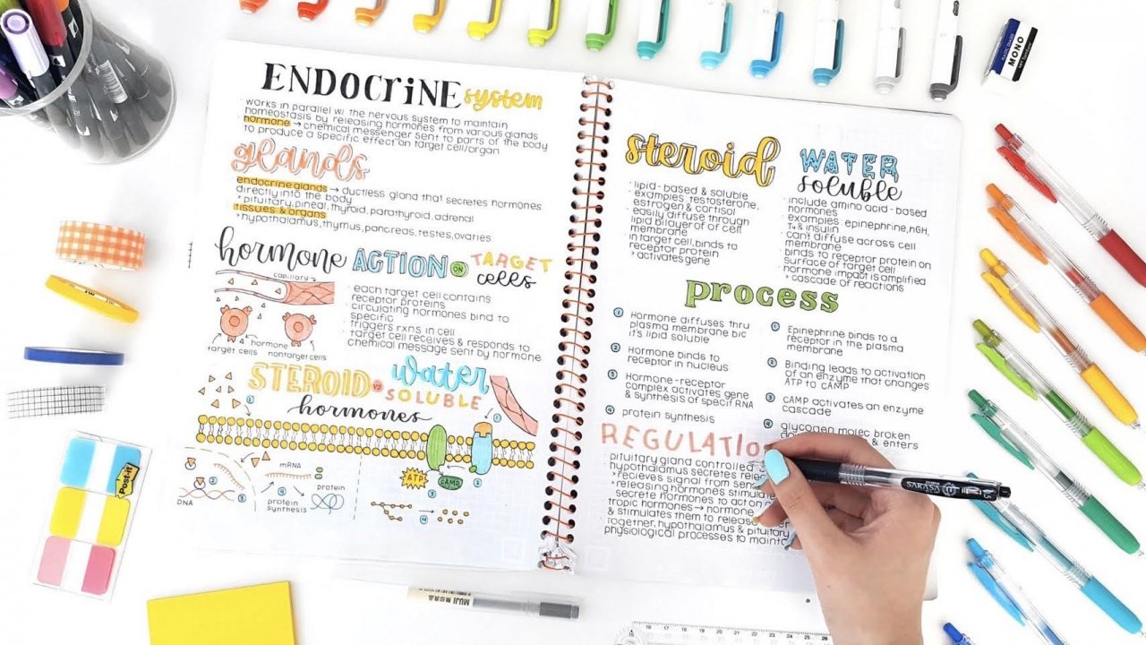 Online Course Note Taking Essentials How To Keep Organized And Online Course Note Taking Essentials How To Keep Organized And