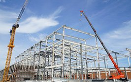 Design of Structural Systems