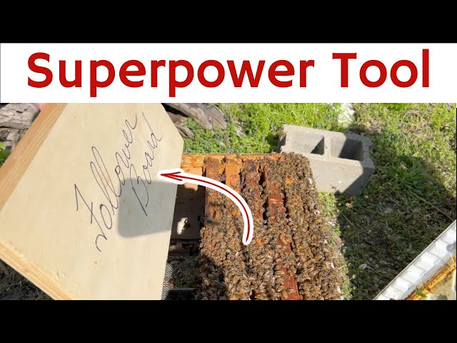 Beekeeping: Amazing Superpower of Using a Follower Board