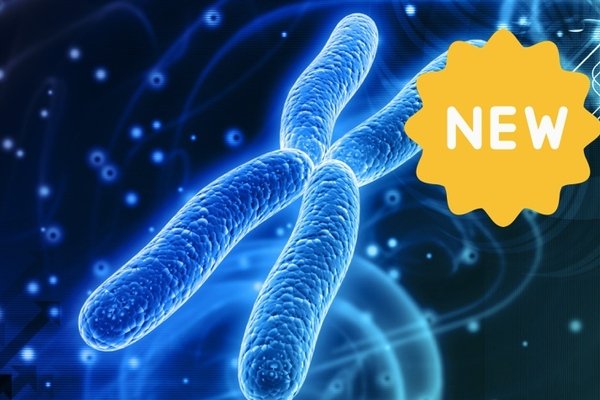SACE Stage 2 Biology - DNA and Proteins