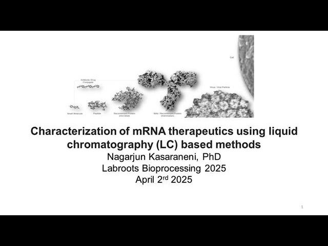 Characterization of mRNA Therapeutics Using Liquid Chromatography Based Methods