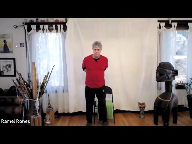 Qigong, Tai Chi, and Meditation for Internal Organs, Hips and Groin - 45 min