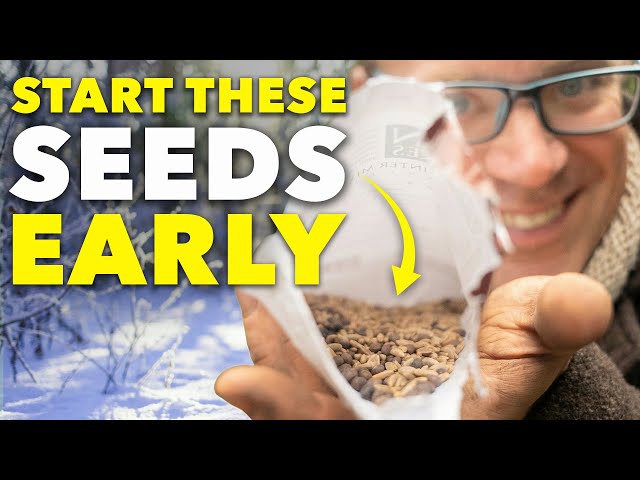 6 Super-Early Vegetables to Start in January