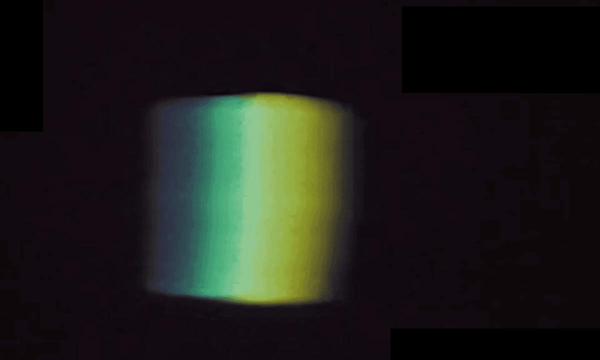 Interdisciplinarity in Thought and Practice