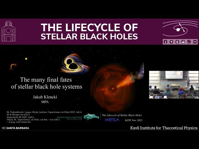 The Many Final Fates of Stellar Black Hole Systems