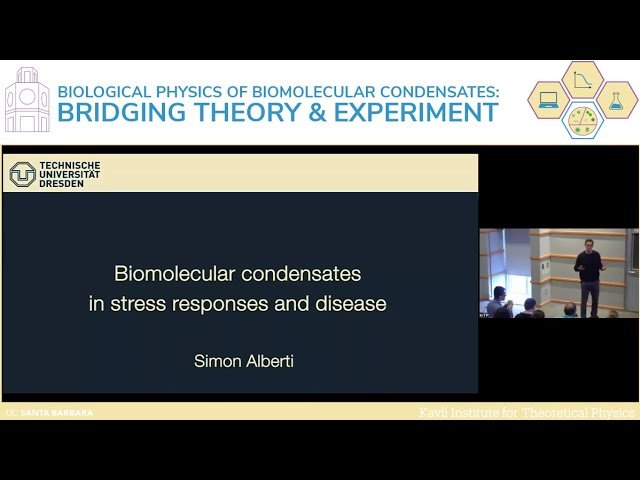 Biomolecular Condensates in Stress Responses and Disease
